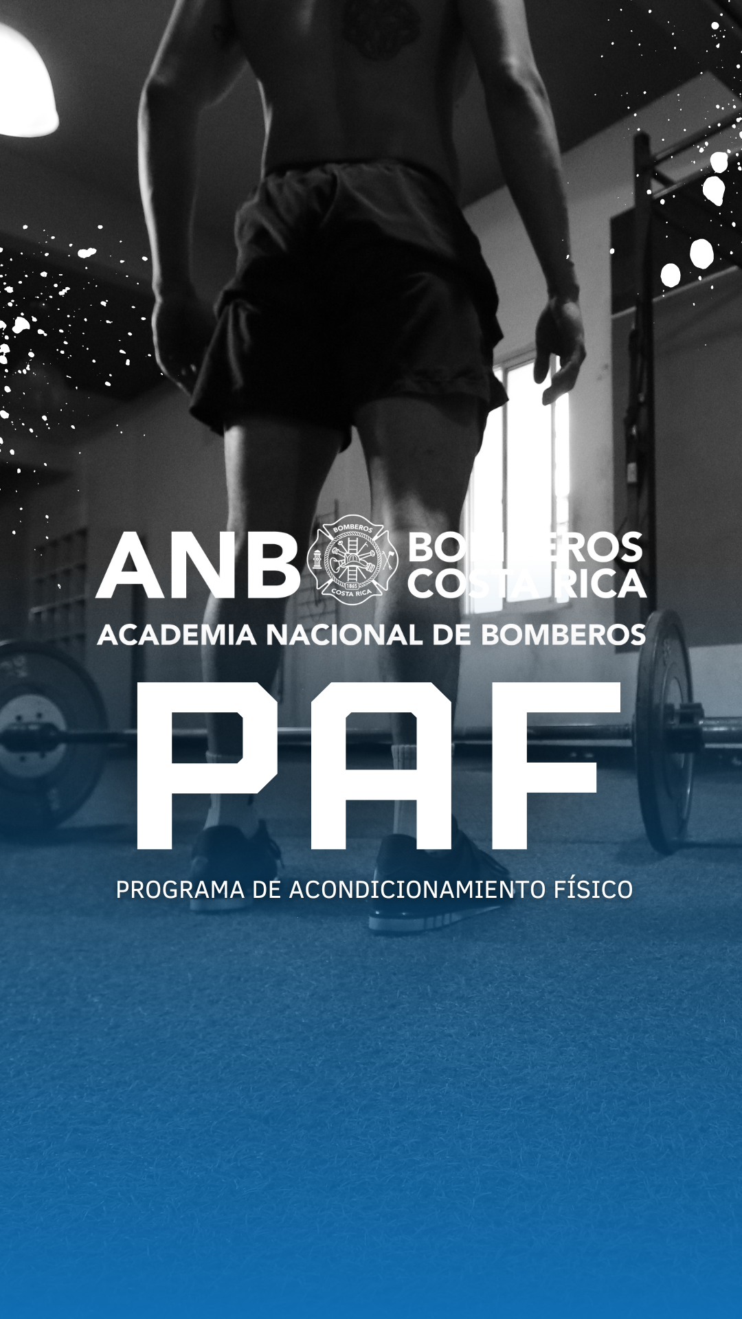 Programa de Acondicionamiento Físico 2024