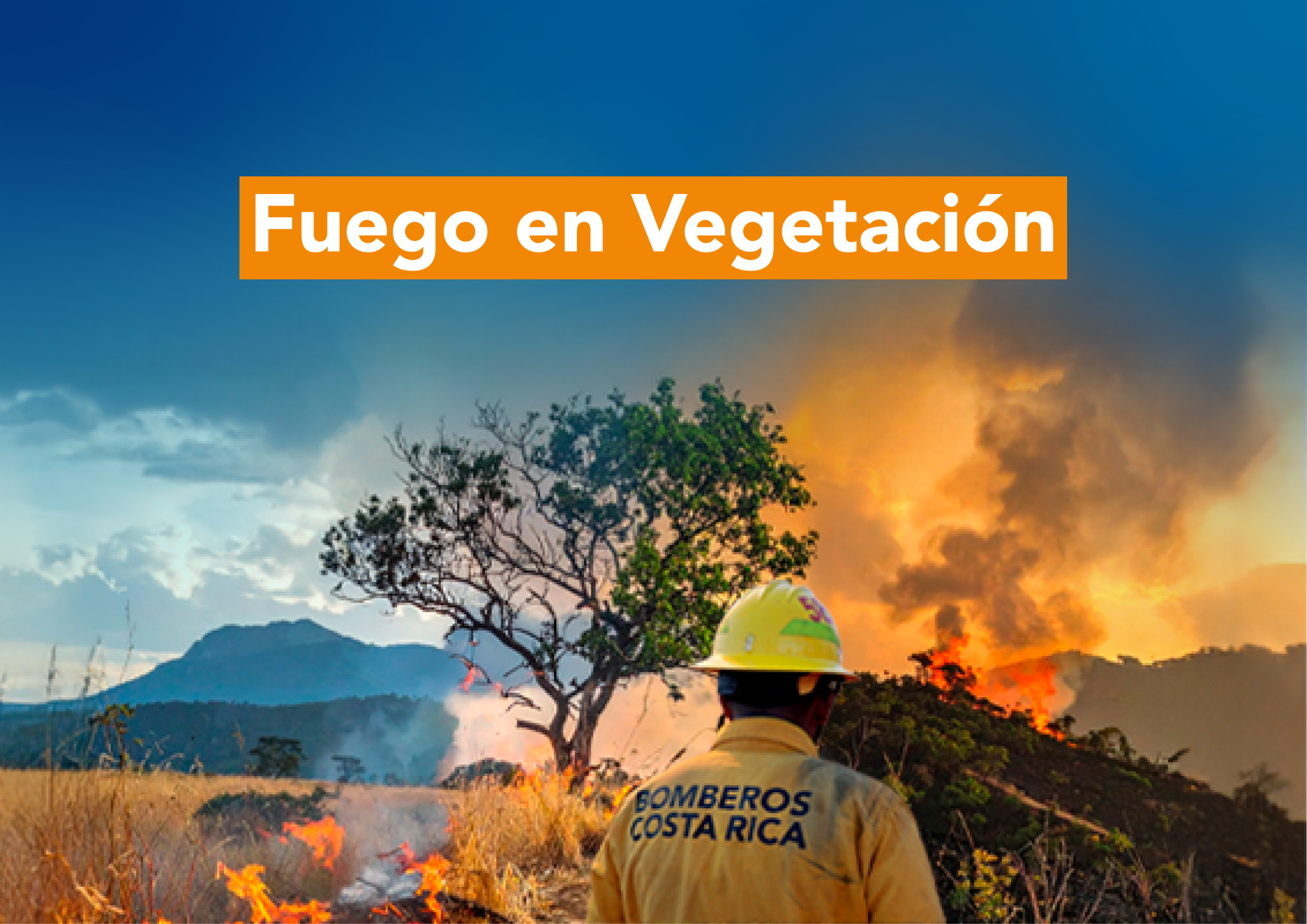 Fuego en vegetación I